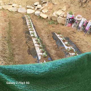 짱순이연속8월출석왕님의 최근에 산 것 자랑하기 · 참여글 작성글 사진