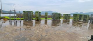 노란토끼님의 벼 · 영농일지 작성글 사진