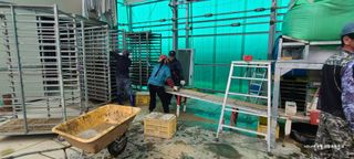 노란토끼님의 벼 · 영농일지 작성글 사진