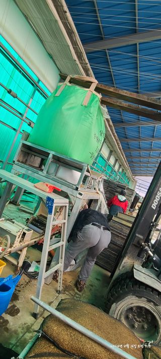 노란토끼님의 벼 · 영농일지 작성글 사진