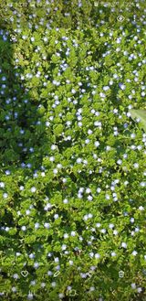 팜모닝 자유주제·자유게시판 게시글 이미지