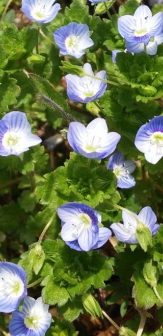 밤가시 여주농장님의 자유주제 · 자유게시판 작성글 사진