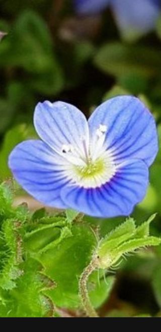 밤가시 여주농장님의 자유주제 · 자유게시판 작성글 사진