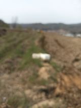 팜모닝 자유주제·자유게시판 게시글 이미지