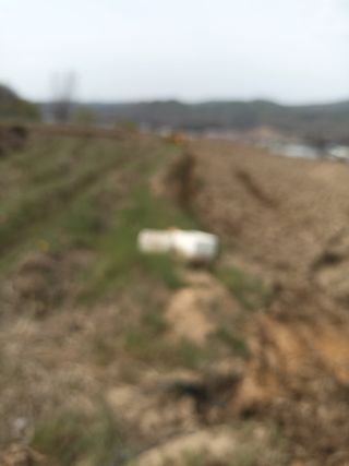 김순향님의 자유주제 · 자유게시판 작성글 사진