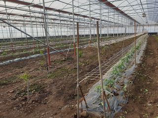 희야 네 레디향님의 최근에 산 것 자랑하기 · 참여글 작성글 사진