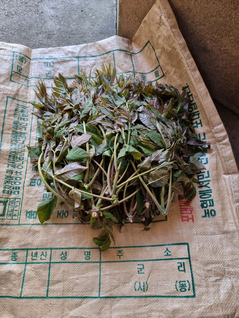 장터 상품 [가죽나무] 썸네일