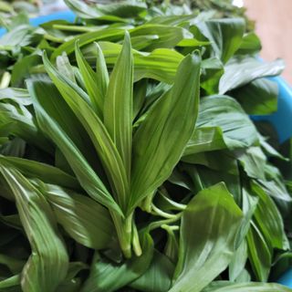 감12568님의 자유주제 · 자유게시판 작성글 사진