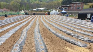 Yejak님의 자유주제 · 자유게시판 작성글 사진