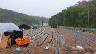 Yejak님의 자유주제 · 자유게시판 작성글 사진