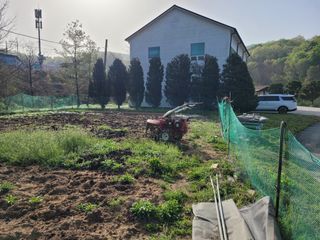 땅땅님의 고추 · 토양준비 작성글 사진