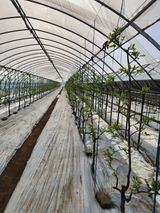 팜모닝 자유주제·자유게시판 게시글 이미지