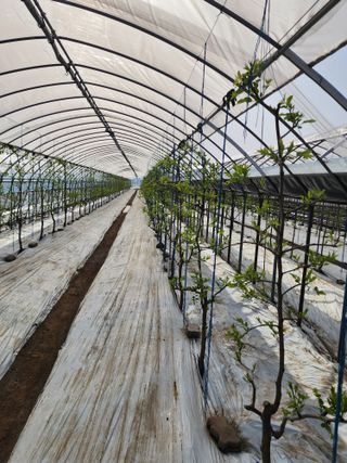 대추 9544님의 자유주제 · 자유게시판 작성글 사진