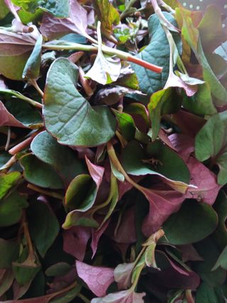 손미진 님의 자유주제 · 자유게시판 작성글 사진