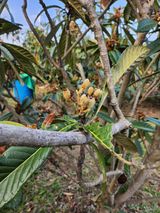 팜모닝 자유주제·자유게시판 게시글 이미지