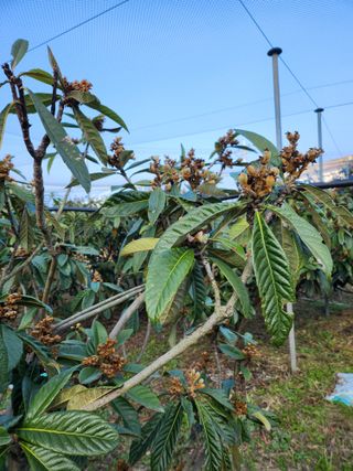 김상철님의 자유주제 · 자유게시판 작성글 사진