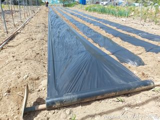 유병욱님의 기타작물 · 영농일지 작성글 사진