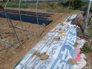 유병욱님의 기타작물 · 영농일지 작성글 사진