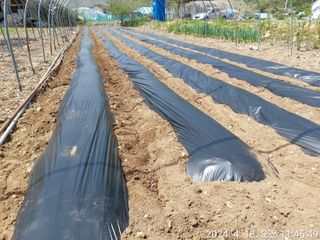 유병욱님의 기타작물 · 영농일지 작성글 사진