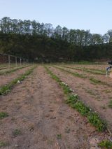 팜모닝 자유주제·사진전 게시글 이미지