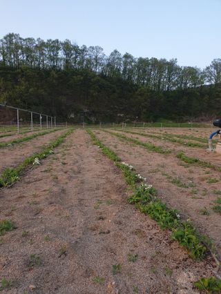 김화순님의 자유주제 · 사진전 작성글 사진