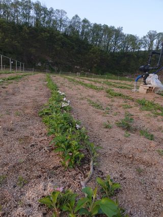 김화순님의 자유주제 · 사진전 작성글 사진
