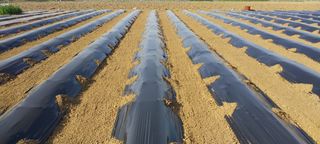 정진해님의 자유주제 · 자유게시판 작성글 사진