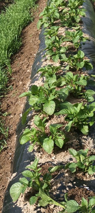 생명샘님의 자유주제 · 자유게시판 작성글 사진