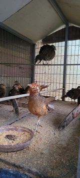 팜모닝 자유주제·자유게시판 게시글 이미지