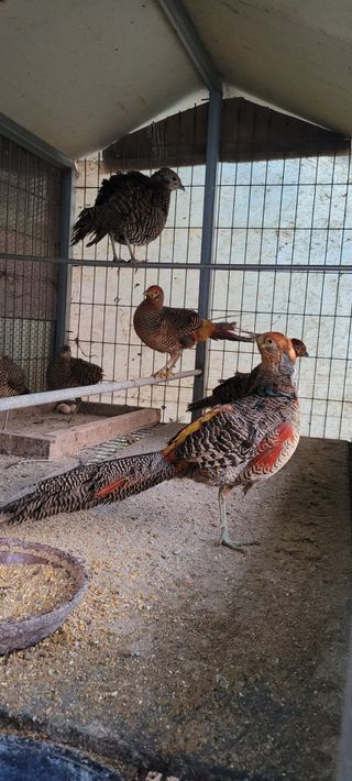 승현이할머니님의 자유주제 · 자유게시판 작성글 사진