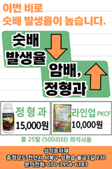 팜모닝 자유주제·자유게시판 게시글 이미지