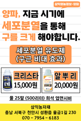 팜모닝 자유주제·자유게시판 게시글 이미지