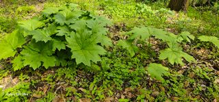 해오름달님의 자유주제 · 자유게시판 작성글 사진