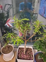 팜모닝 자유주제·사진전 게시글 이미지