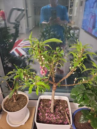 최기인님의 자유주제 · 사진전 작성글 사진