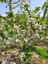 팜모닝 자유주제·사진전 게시글 이미지