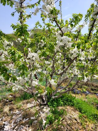 김창겸님의 자유주제 · 사진전 작성글 사진