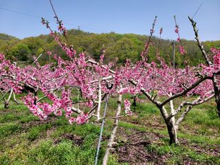 김창겸님의 자유주제 · 사진전 작성글 사진