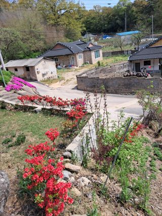 최평선님의 자유주제 · 자유게시판 작성글 사진