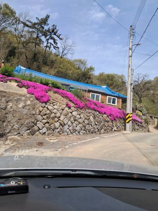 최평선님의 자유주제 · 자유게시판 작성글 사진