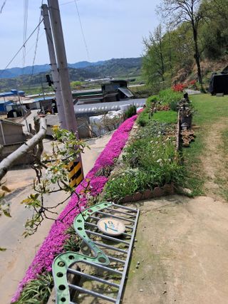 최평선님의 자유주제 · 자유게시판 작성글 사진