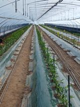 팜모닝 자유주제·자유게시판 게시글 이미지