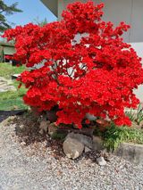 팜모닝 자유주제·자유게시판 게시글 이미지