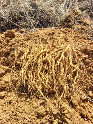 임오빈님의 작성글 사진