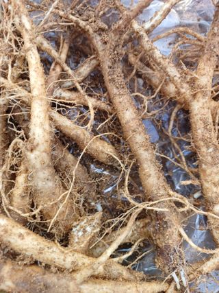 임오빈님의 작성글 사진