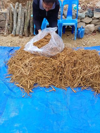임오빈님의 작성글 사진