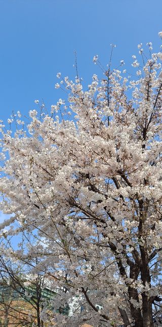 아로마moon님의 자유주제 · 자유게시판 작성글 사진