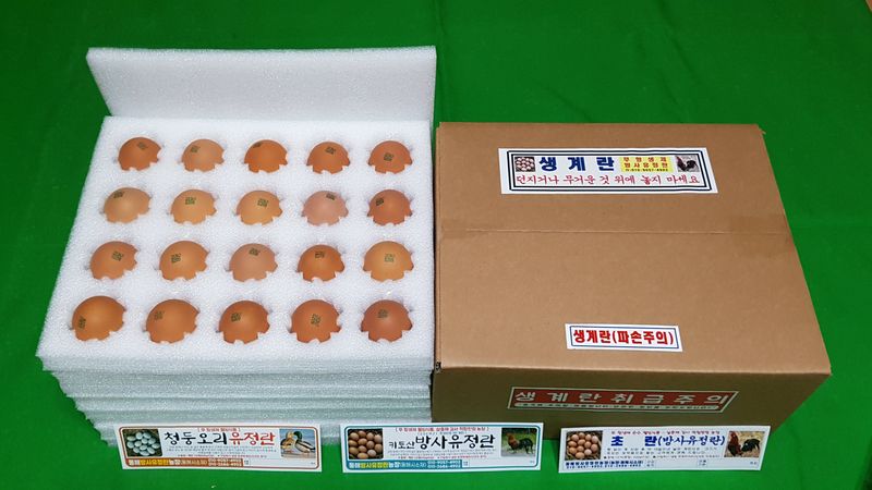 계초님의 장터 판매 상품 [방사유정란.오리알판매] 첨부 사진