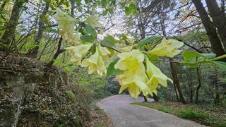 문해님의 자유주제 · 자유게시판 작성글 사진