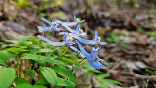 문해님의 자유주제 · 자유게시판 작성글 사진
